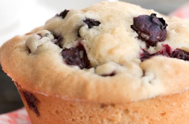 Blueberry Coconut Muffins [gluten-free]